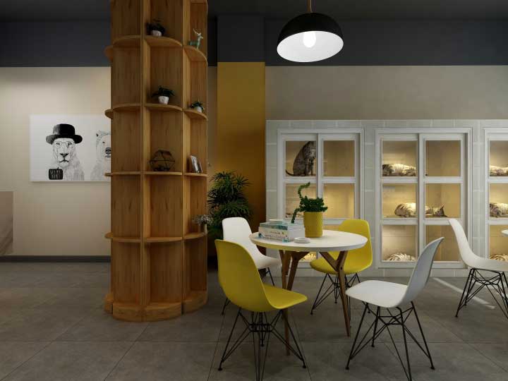 高新區(qū)寵物店裝修設(shè)計(jì)效果圖